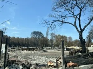 Scène de la route brûlée