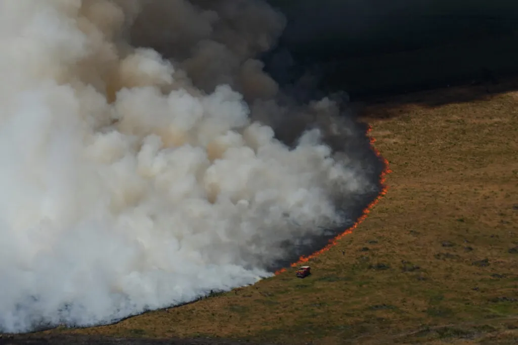 Incendie près d’Arès, Gironde