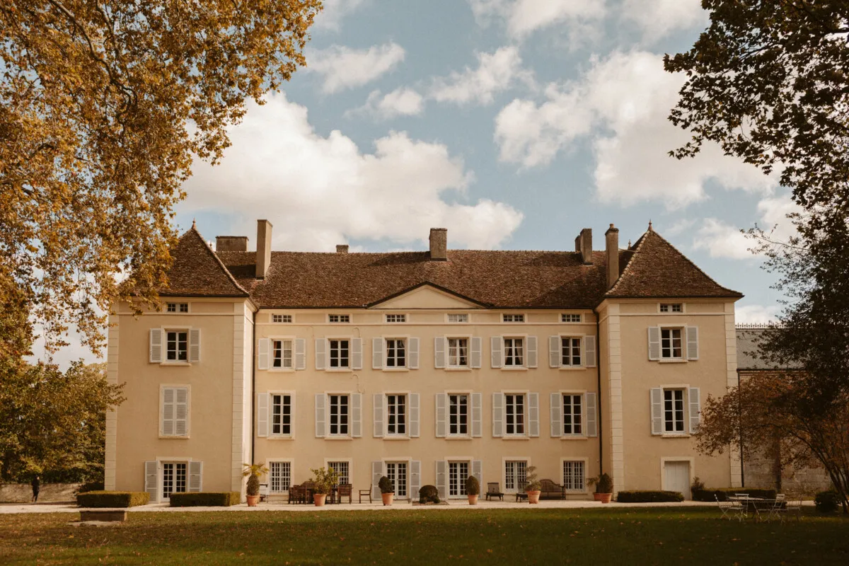 Vignes arrachées : la filière viticole française contrainte à la diversification