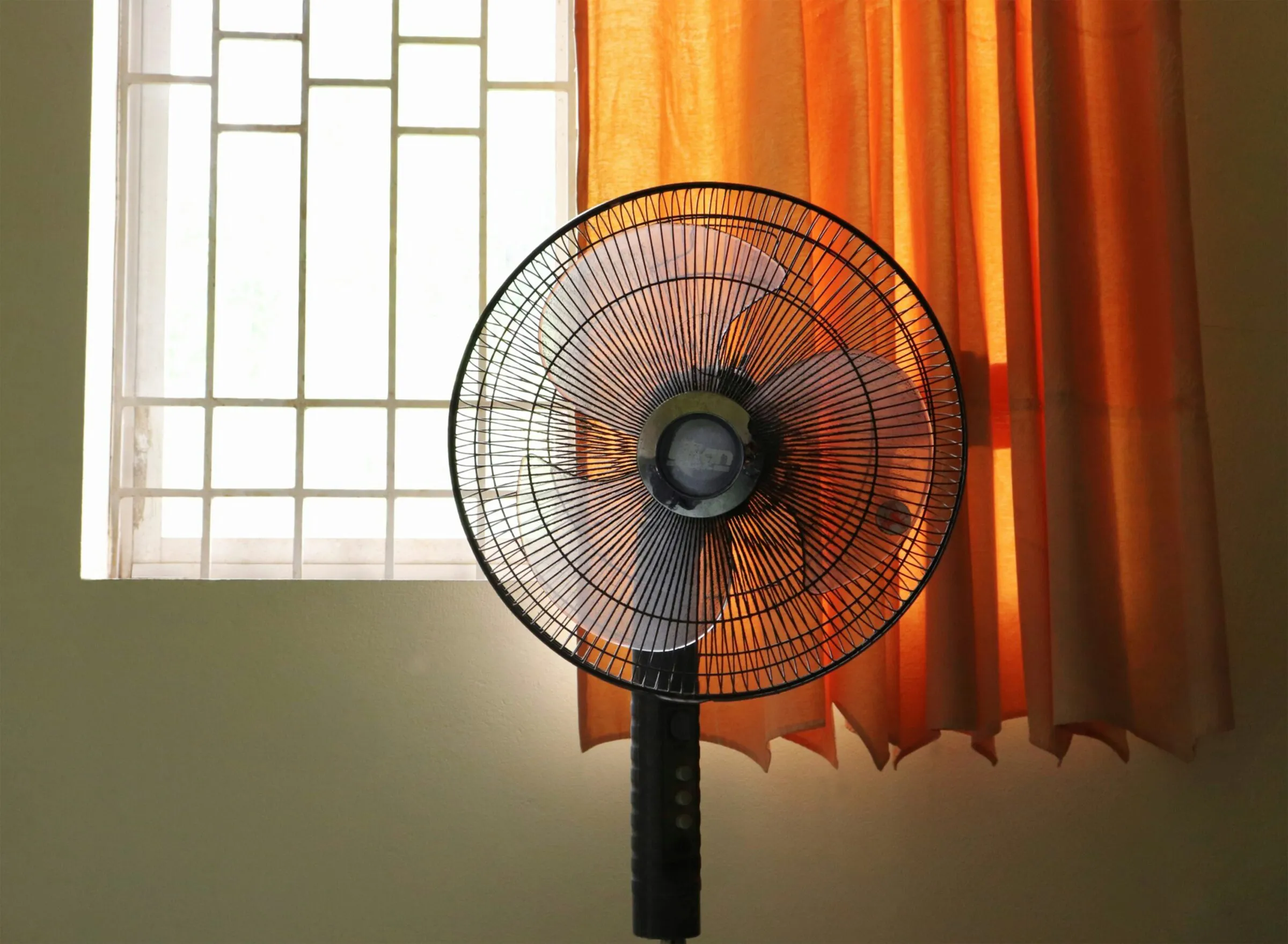 Les morts liées à la canicule en Europe ne sont pas des « catastrophes naturelles » — ce sont des choix politiques de logement