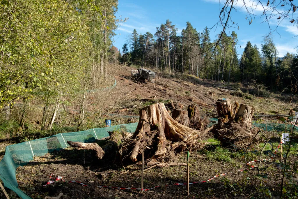 Blocage des financements fait dérailler l’effort mondial pour sauver la nature